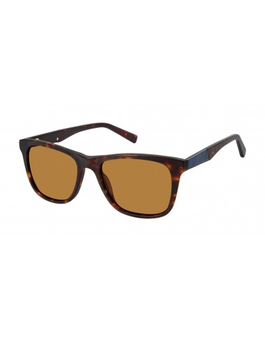 Buffalo by David Bitton BMS006 Sunglasses la livraison gratuite