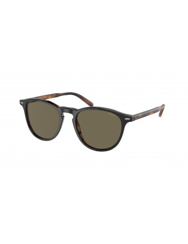 Polo 4181F Sunglasses pas cher chine